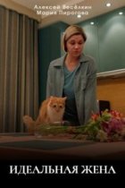 Идеальная жена