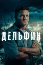 Дельфин Новый сезон